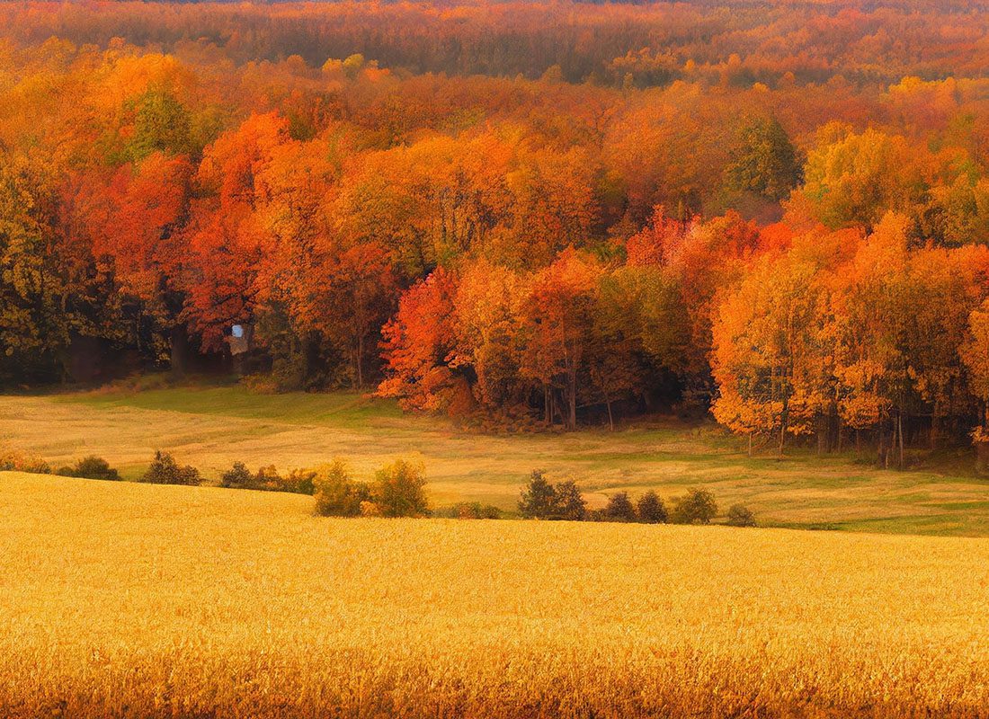 Hempstead, NY - Rustic Farm Scene in Rural Vermont During Autumn With Fall Colors